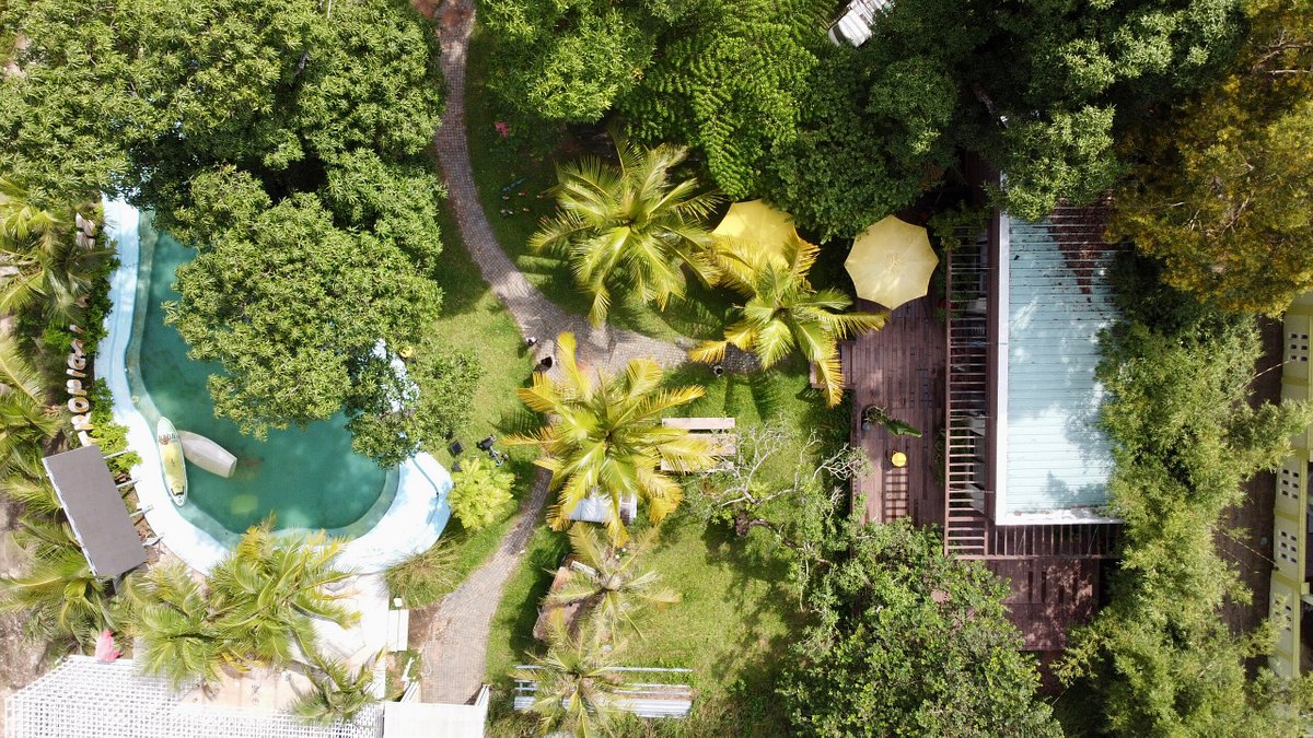 Tropical Houzz