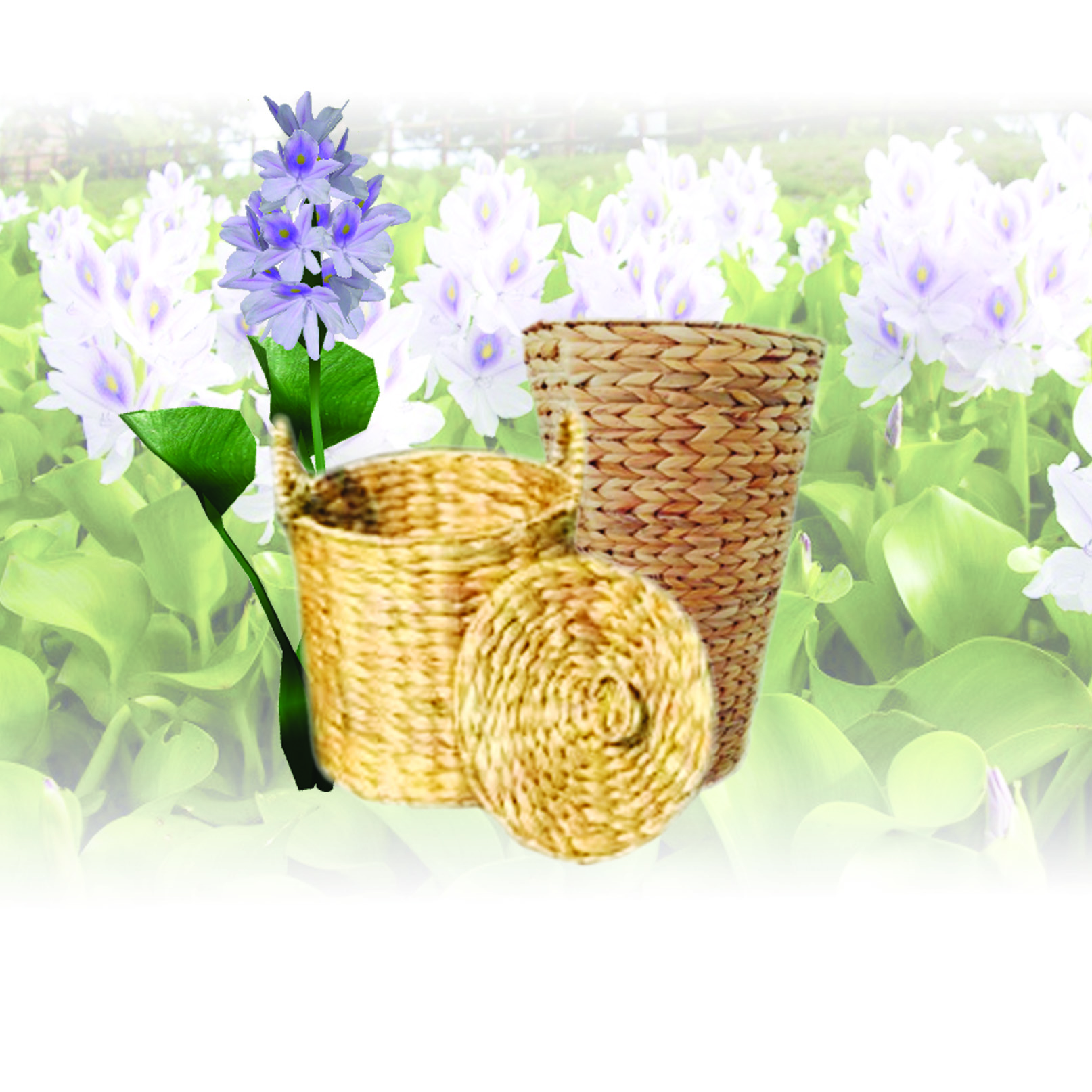 Sọt tròn đan từ Lục Bình